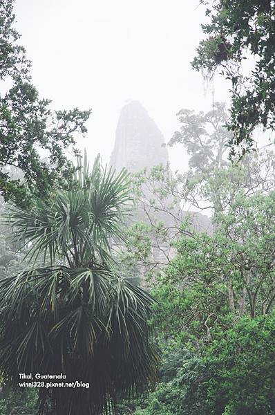 2013 July Tikal Guat-002-23.jpg