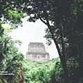 2013 July Tikal Guat-002-108.jpg