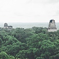 2013 July Tikal Guat-002-113.jpg