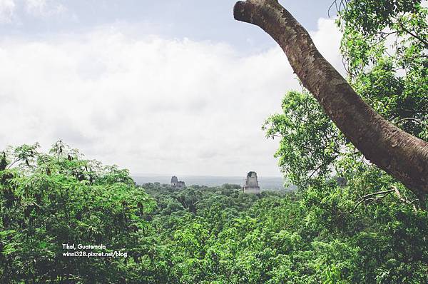 2013 July Tikal Guat-002-145.jpg