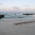 2013 July Isla Mujeres-003-27.jpg