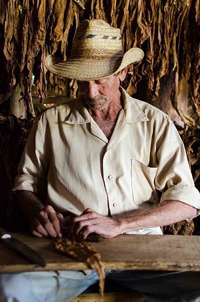 2014 Jan Cuba-004-217