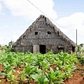 2014 Jan Cuba-004-199