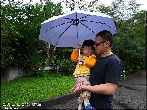 下著雨,和老爸共傘