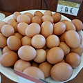 P1260267.JPG