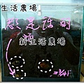 2009 05 17-21甲蟲.JPG