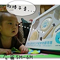 丹尼爾5M-6M