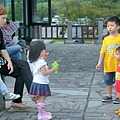 陽明山小油坑