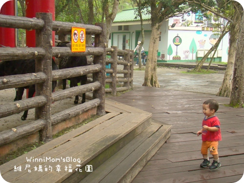 校外教學-動物園