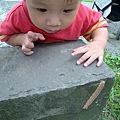 陽明山小油坑