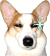 wn_2.gif wn_2.gif
