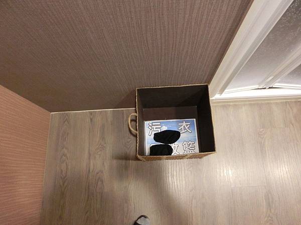 桃園水天使診所水療,水療,大腸水療,便秘,腹脹氣,桃園水天使診所