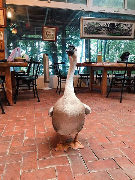 羅望子農場_180705_0007.jpg 試用