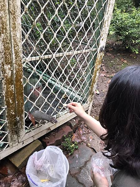 羅望子農場_180705_0015.jpg 試用