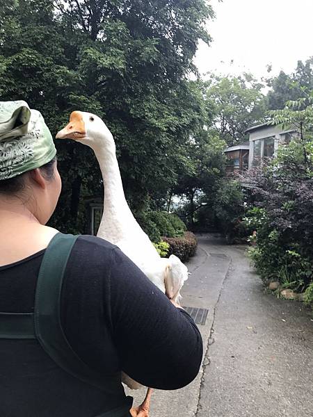 羅望子農場_180705_0018.jpg 試用