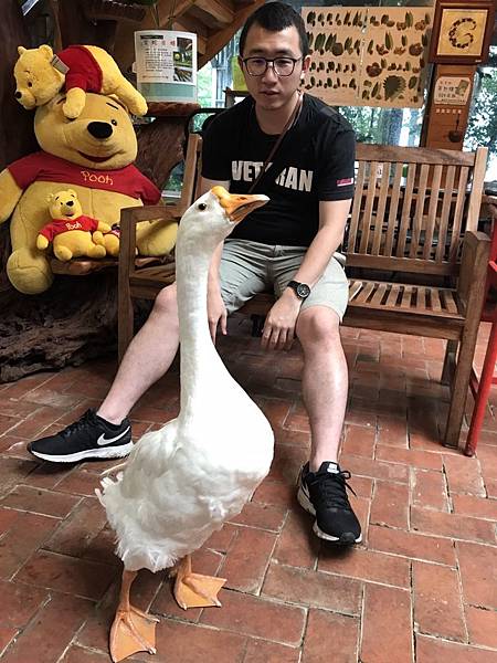 羅望子農場_180705_0020.jpg 試用