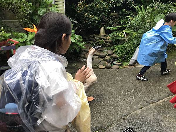 羅望子農場_180705_0019.jpg 試用