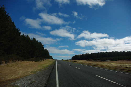 IMGP0615.JPG