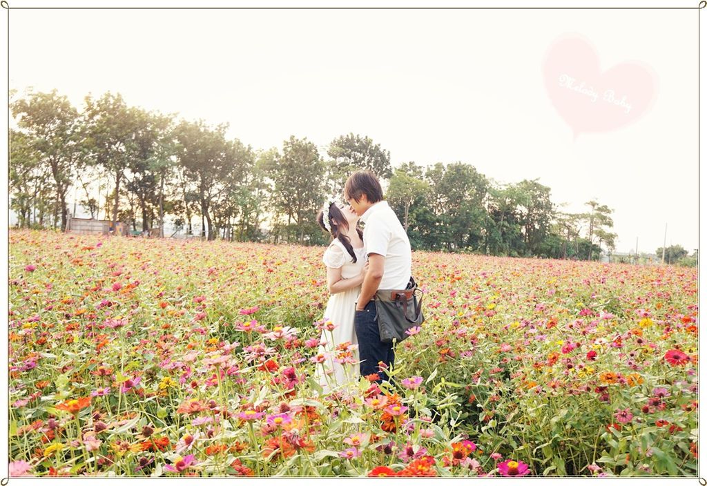 橋頭花海 (1).JPG