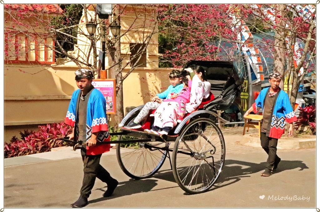 九族樱花祭 (10).JPG