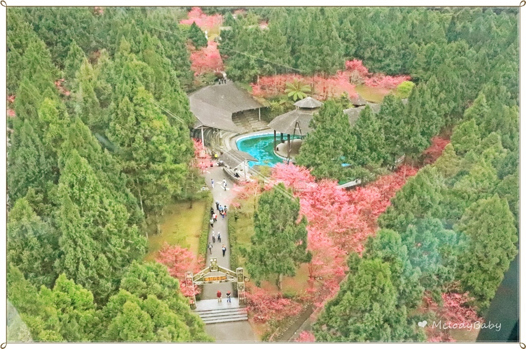 九族樱花祭 (15).JPG