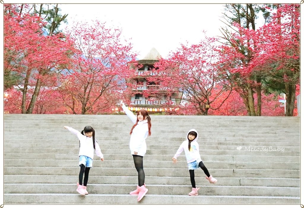 九族樱花祭 (18).JPG