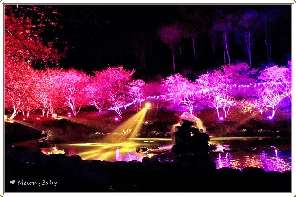 九族樱花祭 (26).JPG