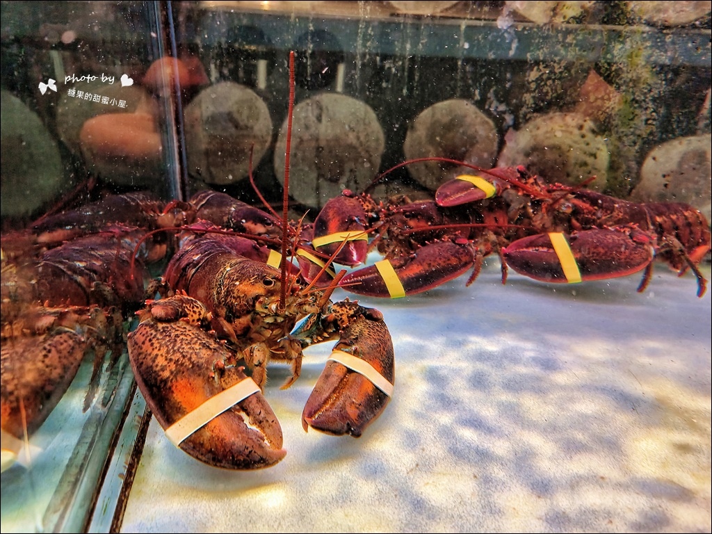 舞古贺涮涮屋 (41).jpg