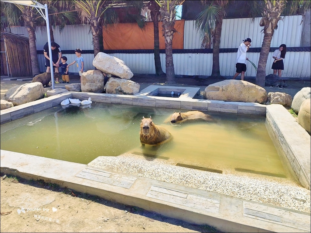 廢物媽媽育兒農場 (9).jpg