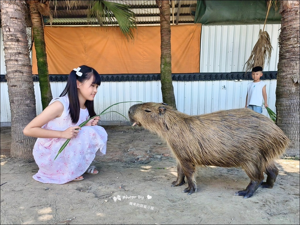 废物妈妈育儿农场 (11).jpg