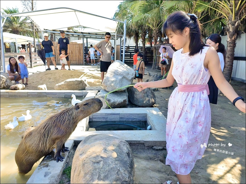 废物妈妈育儿农场 (10).jpg