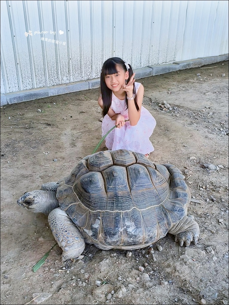 废物妈妈育儿农场 (14).jpg