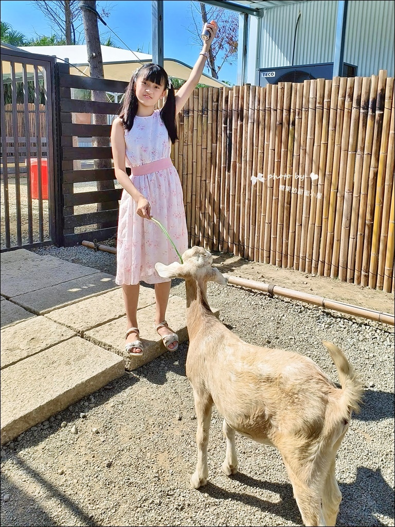 废物妈妈育儿农场 (19).jpg