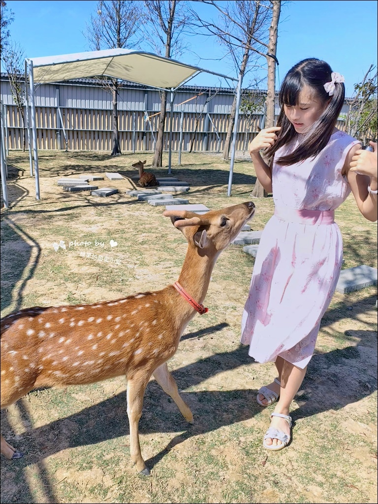 废物妈妈育儿农场 (23).jpg