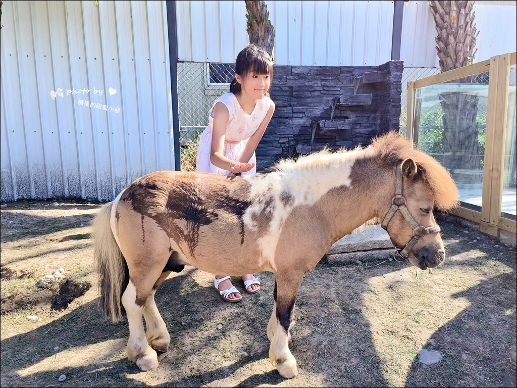 废物妈妈育儿农场 (27).jpg