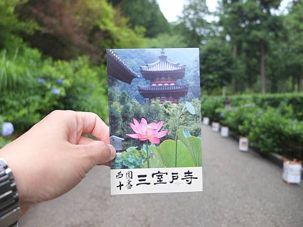 門票.jpg 門票.jpg
