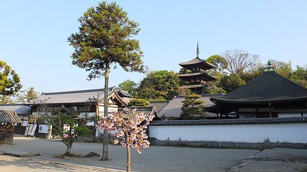 當麻寺14.jpg