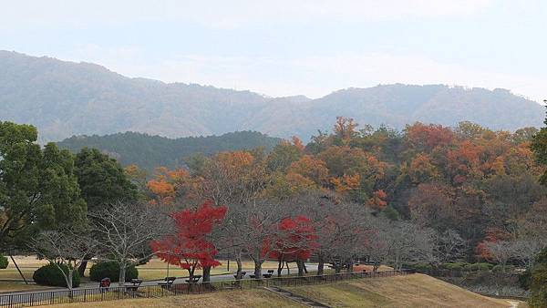 寶池公園02.jpg