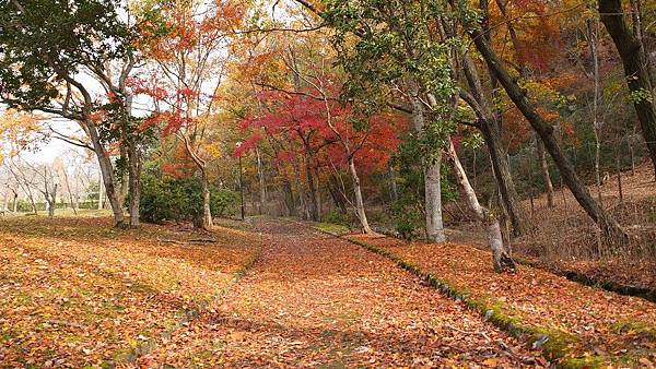 寶池公園08.jpg