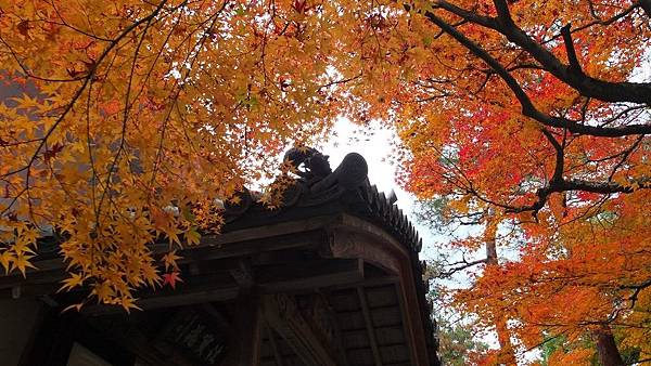 法然院08.jpg 法然院08.jpg