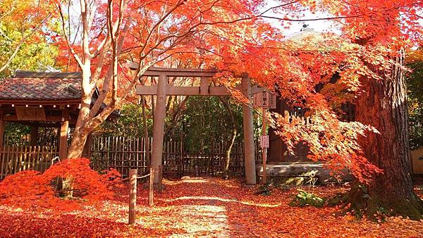 蓮華寺04.jpg 蓮華寺04.jpg
