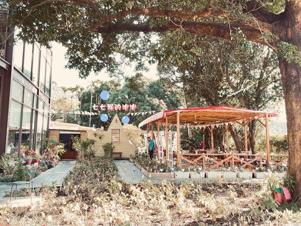 苗栗景點 | 橙香森林 | 採橘子。親子景點。玻璃屋餐廳。橙