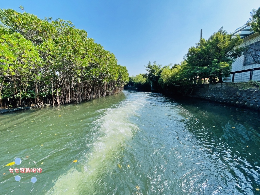 [台南] 四草綠色隧道 & 四草湖藍色絲路生態之旅