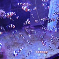 44基隆潮境智能海洋館.潮境公園.巨型水族缸.海洋中心.小丑魚.JPG