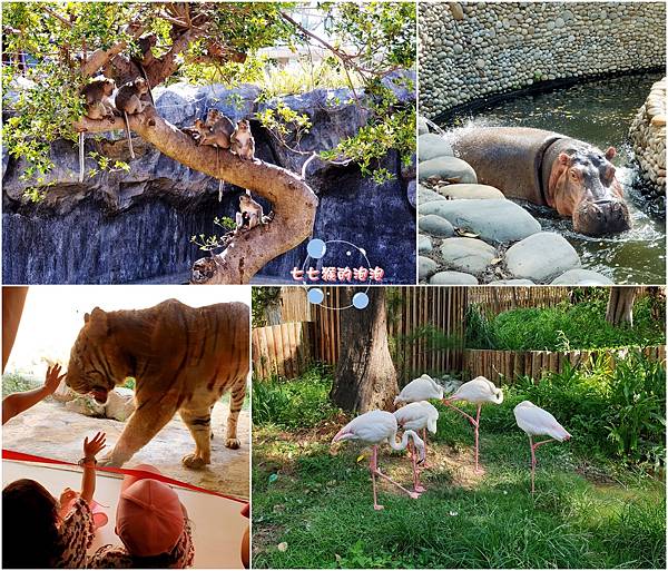 52-新竹煙波大飯店湖濱館-香榭館-親子飯店-新竹動物園.jpg