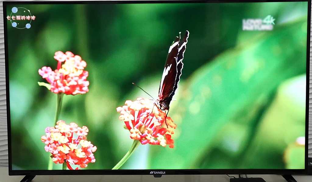 24山水43型4K HDR Google認證智慧電視(SU43GT15).jpg