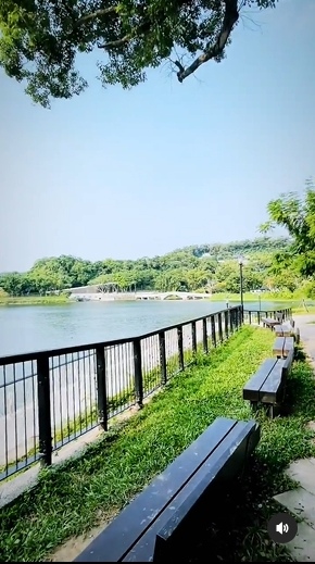 新竹旅遊｜青草湖｜180度觀景環湖步道。樂活慢遊好去處。天鵝