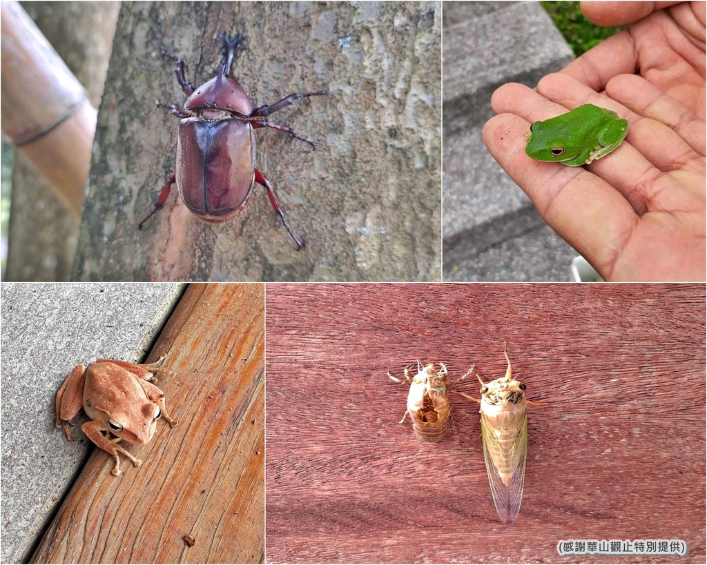 48華山觀止。雲林住宿。一泊二食。雲林住宿推薦。華山觀止菜單.jpg 48華山觀止。雲林住宿。一泊二食。雲林住宿推薦。華山觀止菜單.jpg