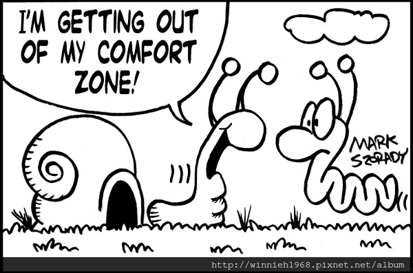 comfort-zone.jpg