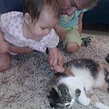 play with cat